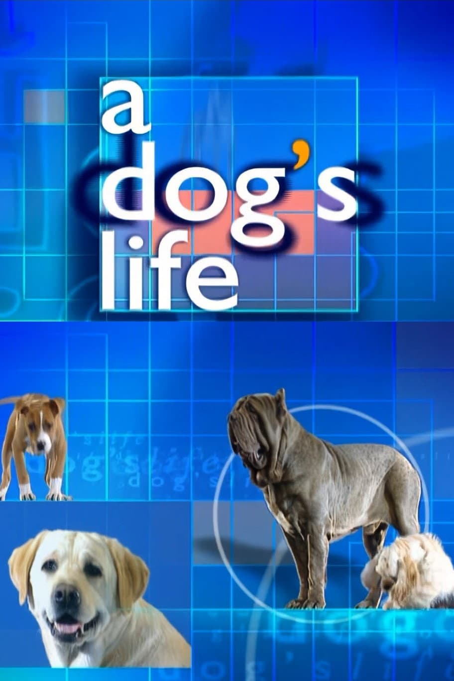 Poster di A Dog's Life