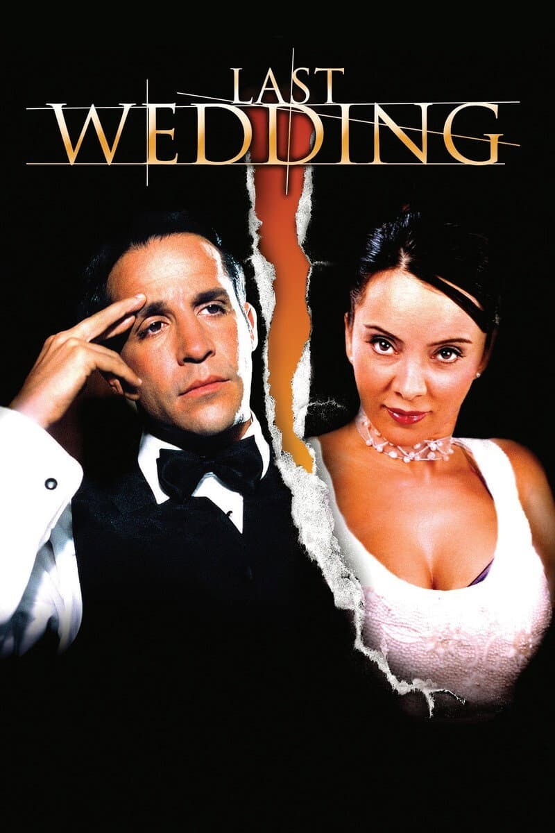 Poster di Last Wedding
