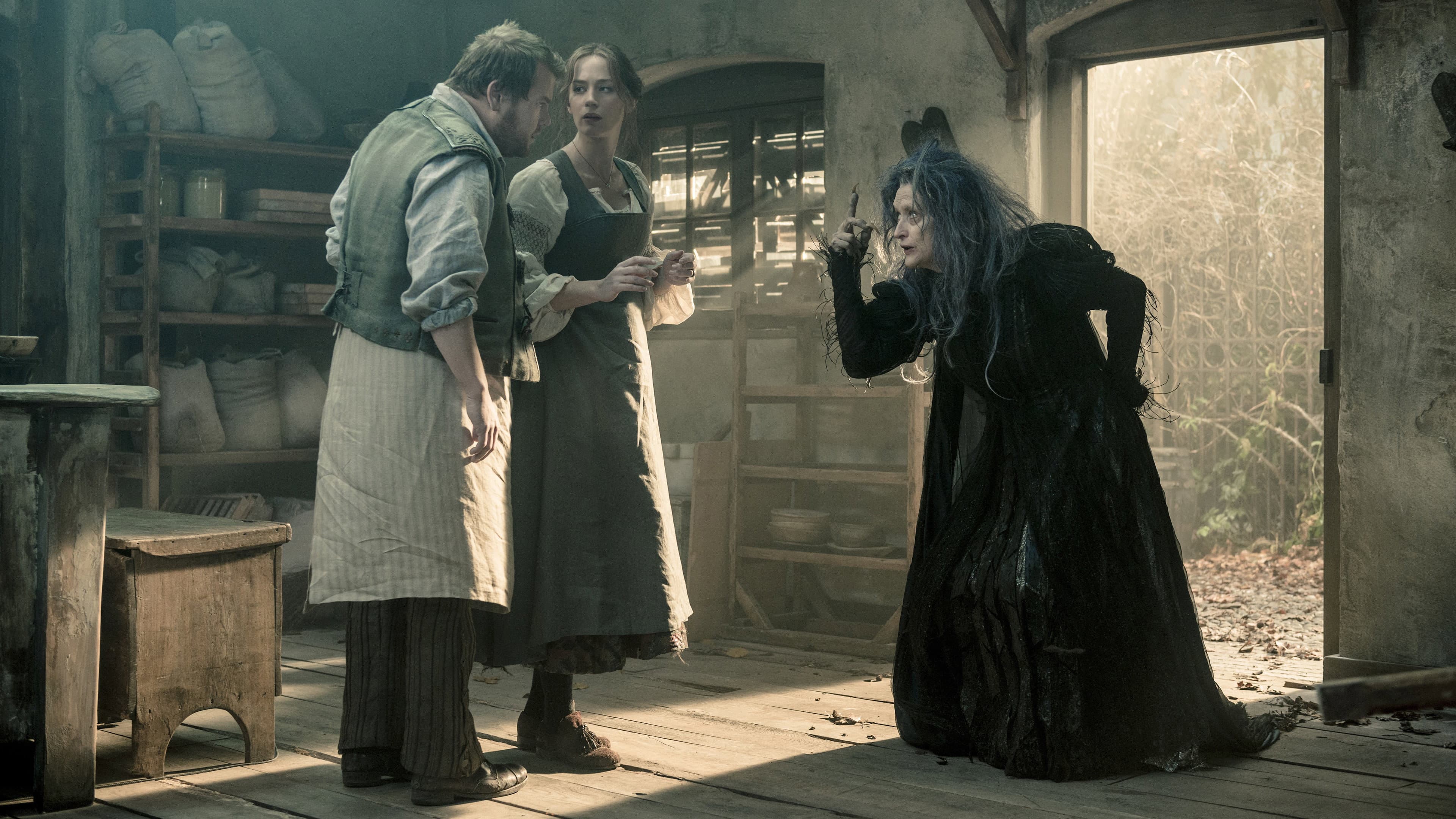 Into the Woods - immagine