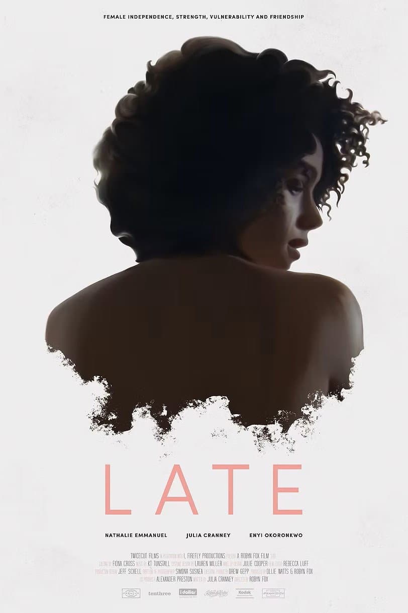 Poster di Late