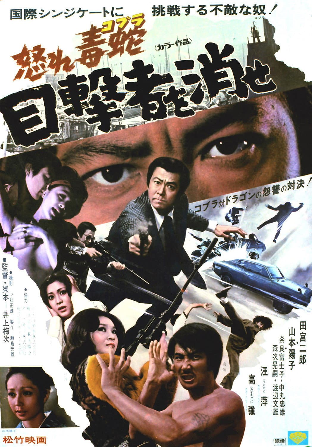 Poster di 怒れ毒蛇 目撃者を消せ