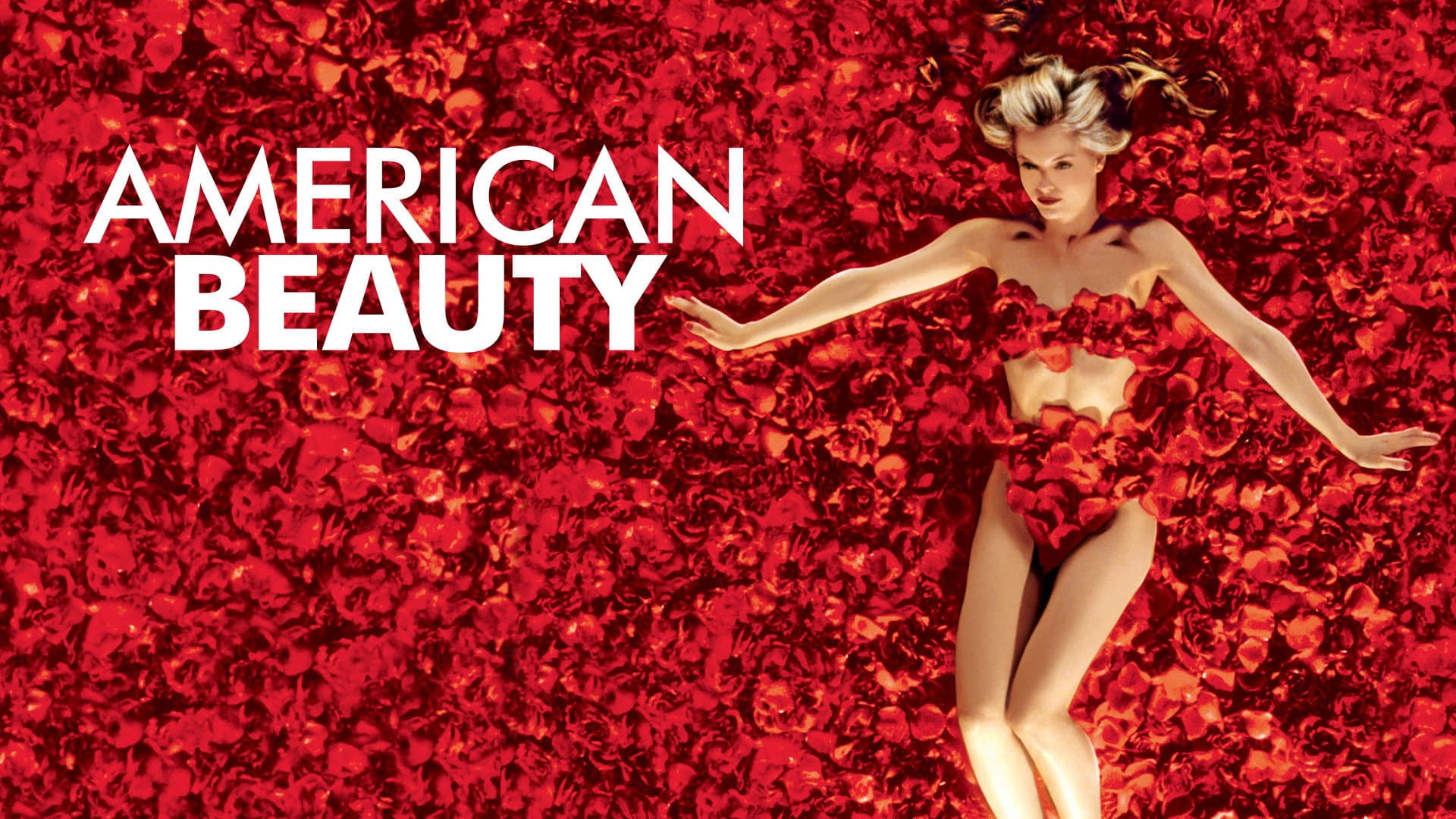 American Beauty - immagine