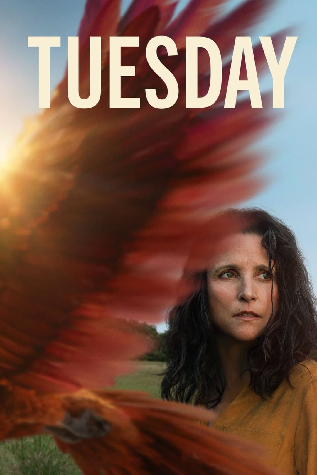Poster di Tuesday