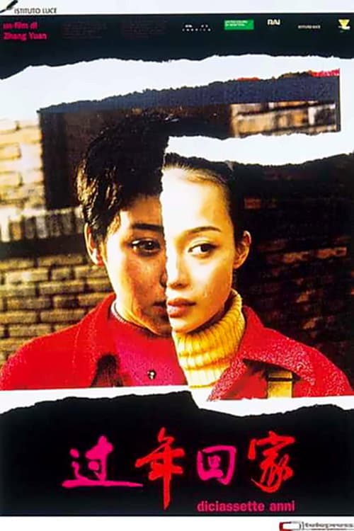 Poster di Diciassette anni
