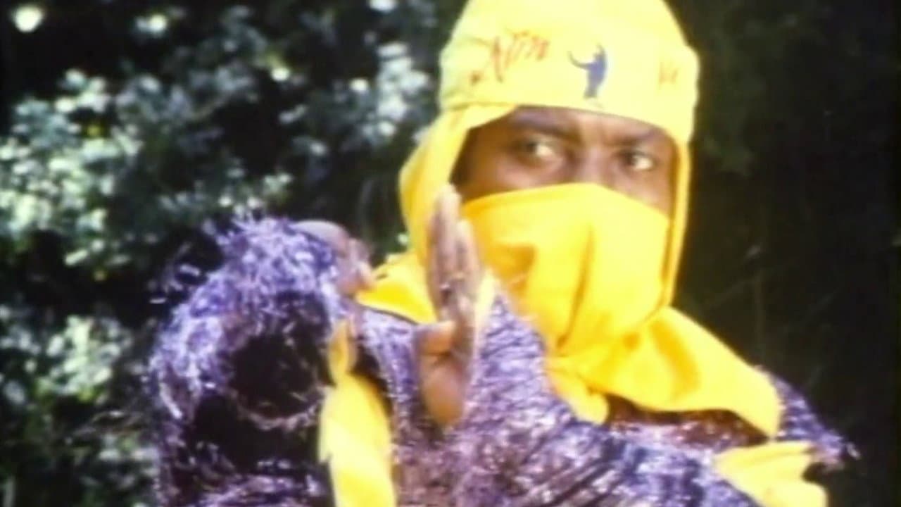 Ninja occhio per occhio - immagine