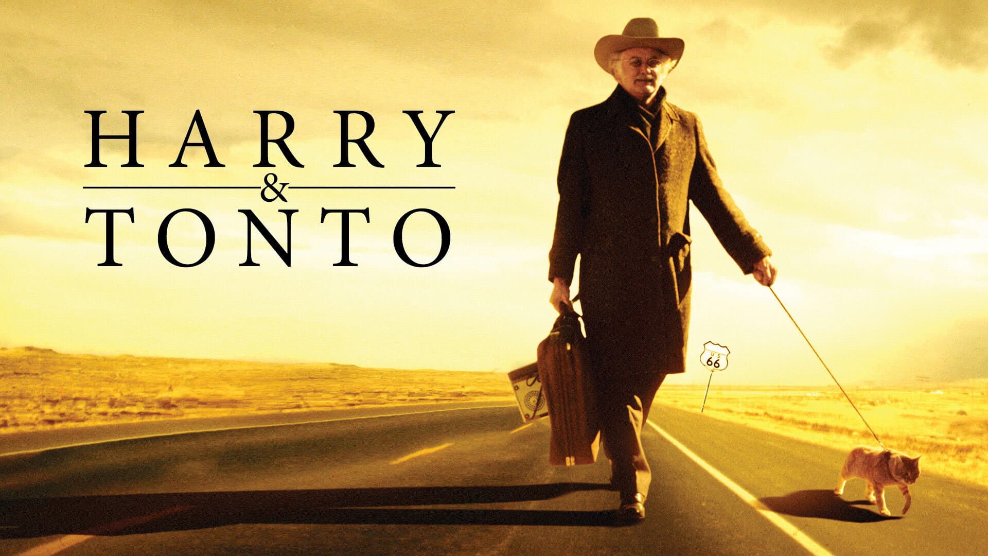 Harry e Tonto - immagine