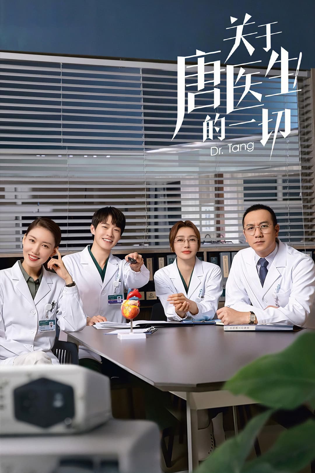 Poster di 关于唐医生的一切