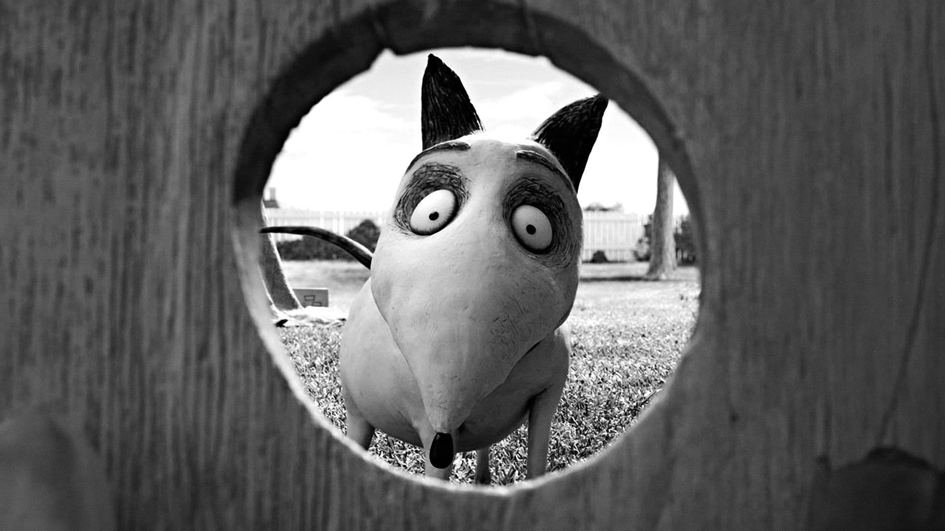Frankenweenie - immagine
