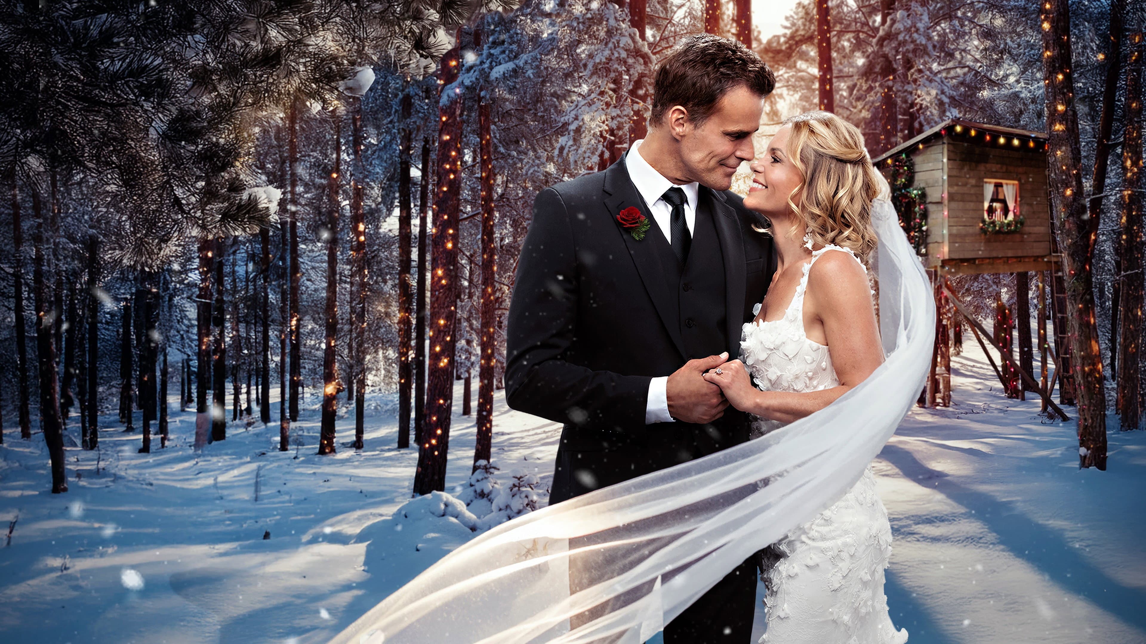 Another Sweet Christmas - immagine