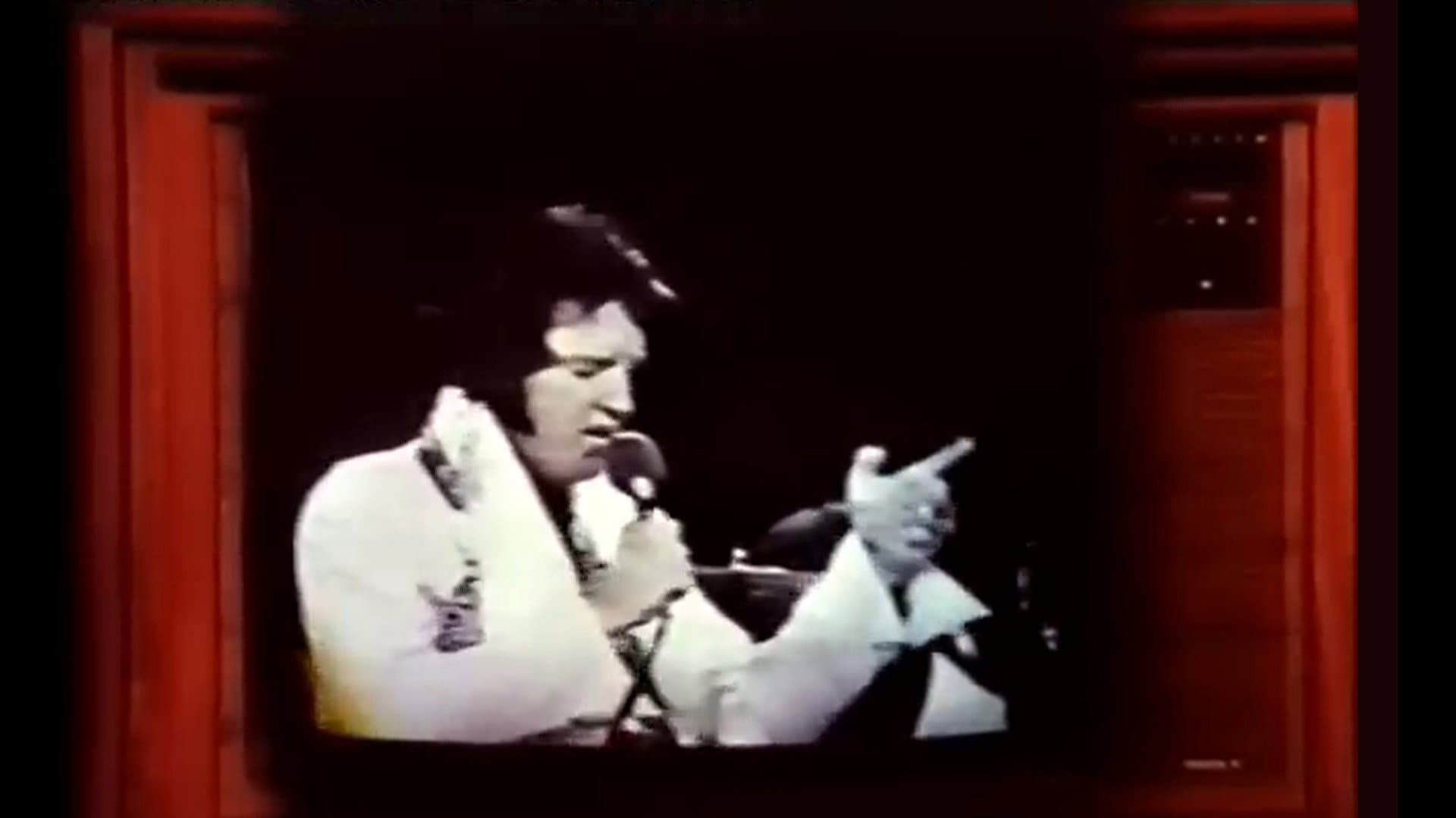 Elvis - He Touched Their Lives - immagine