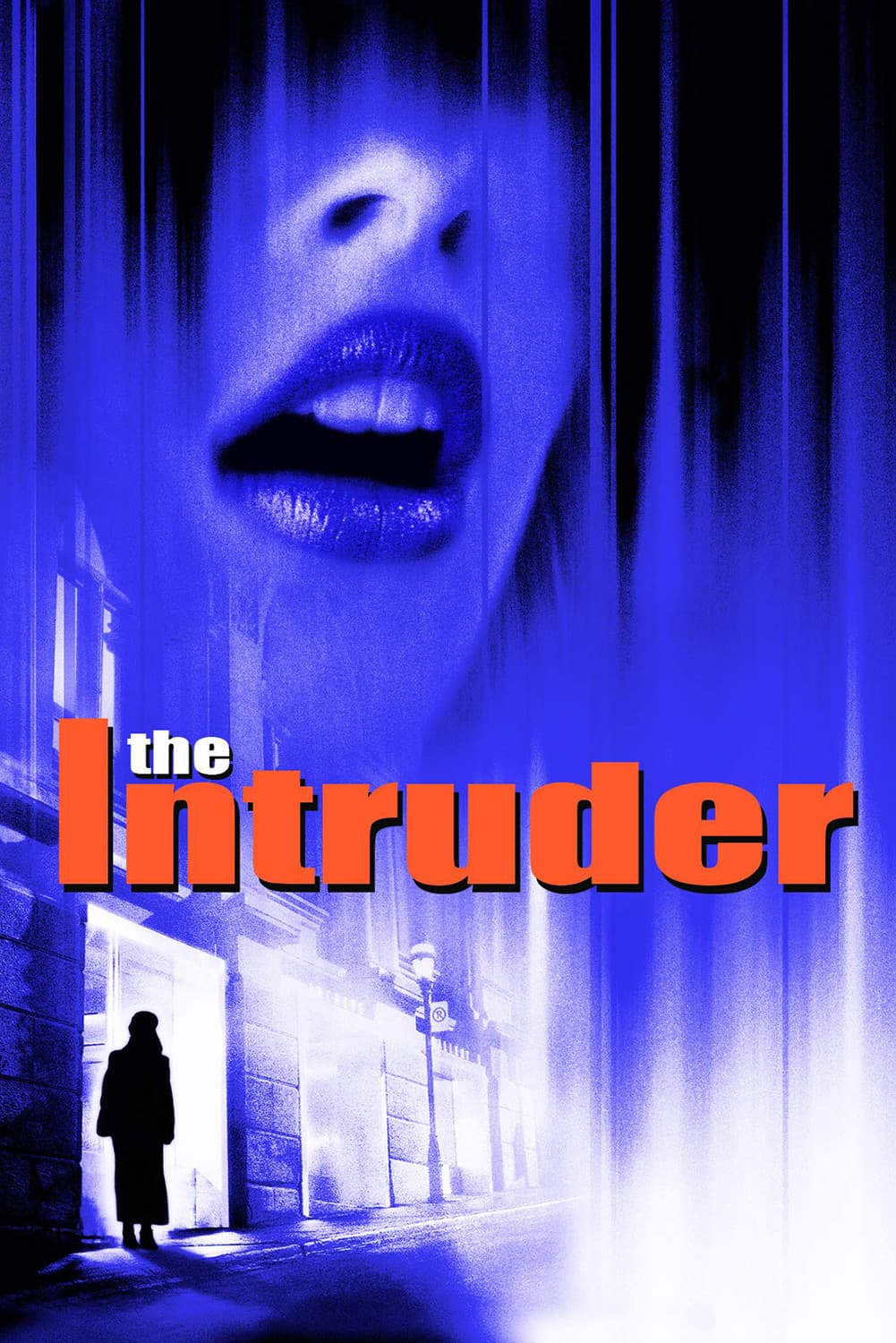 Poster di The Intruder