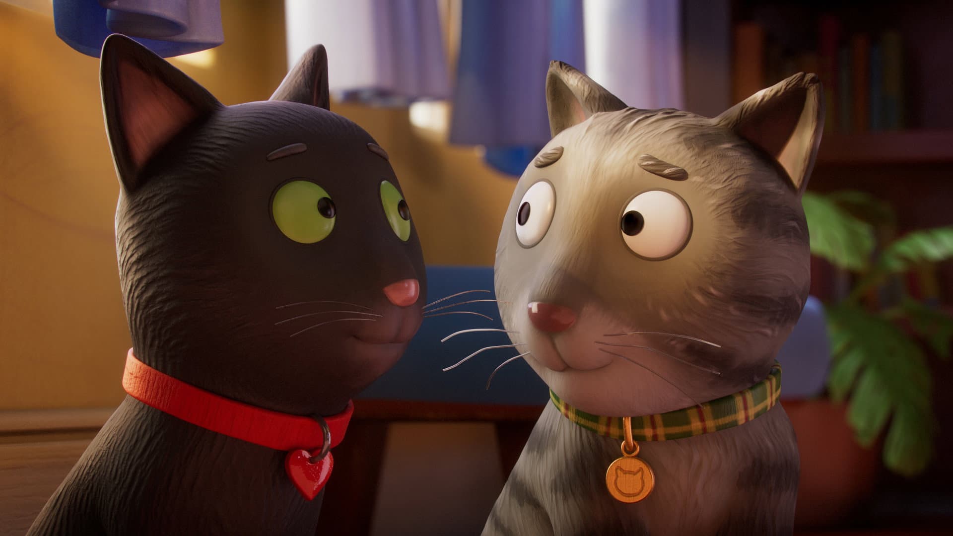 Bigio Randagio - immagine
