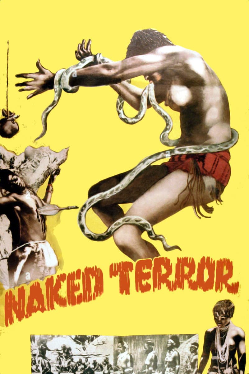Poster di Naked Terror