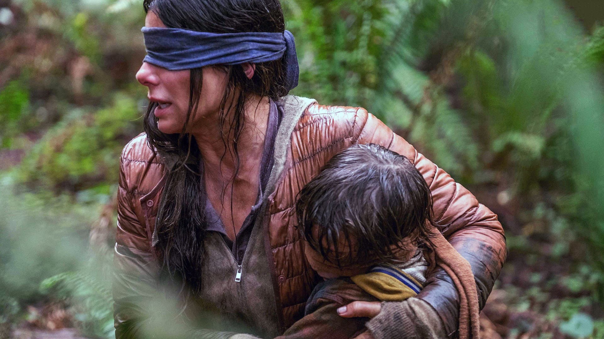 Bird Box - immagine