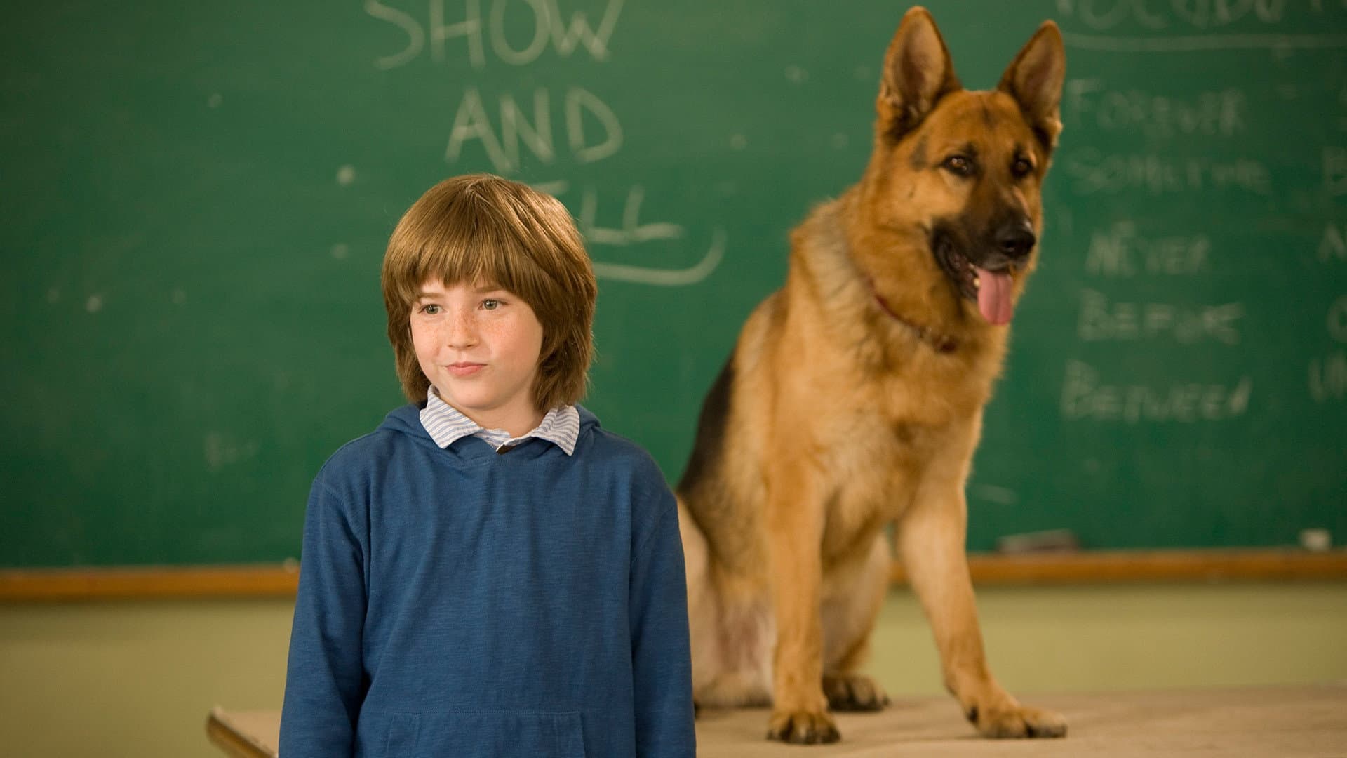 Cool Dog - Rin Tin Tin a New York - immagine