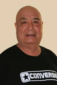 Ma Zijun