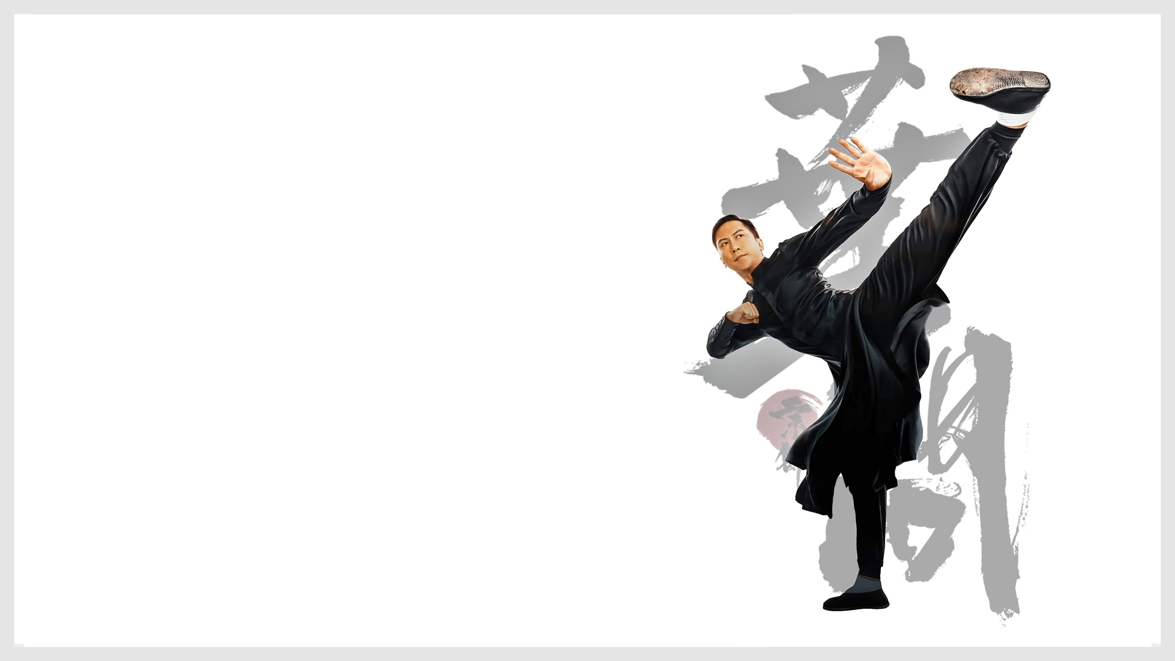 Ip Man: Kung Fu Master - immagine