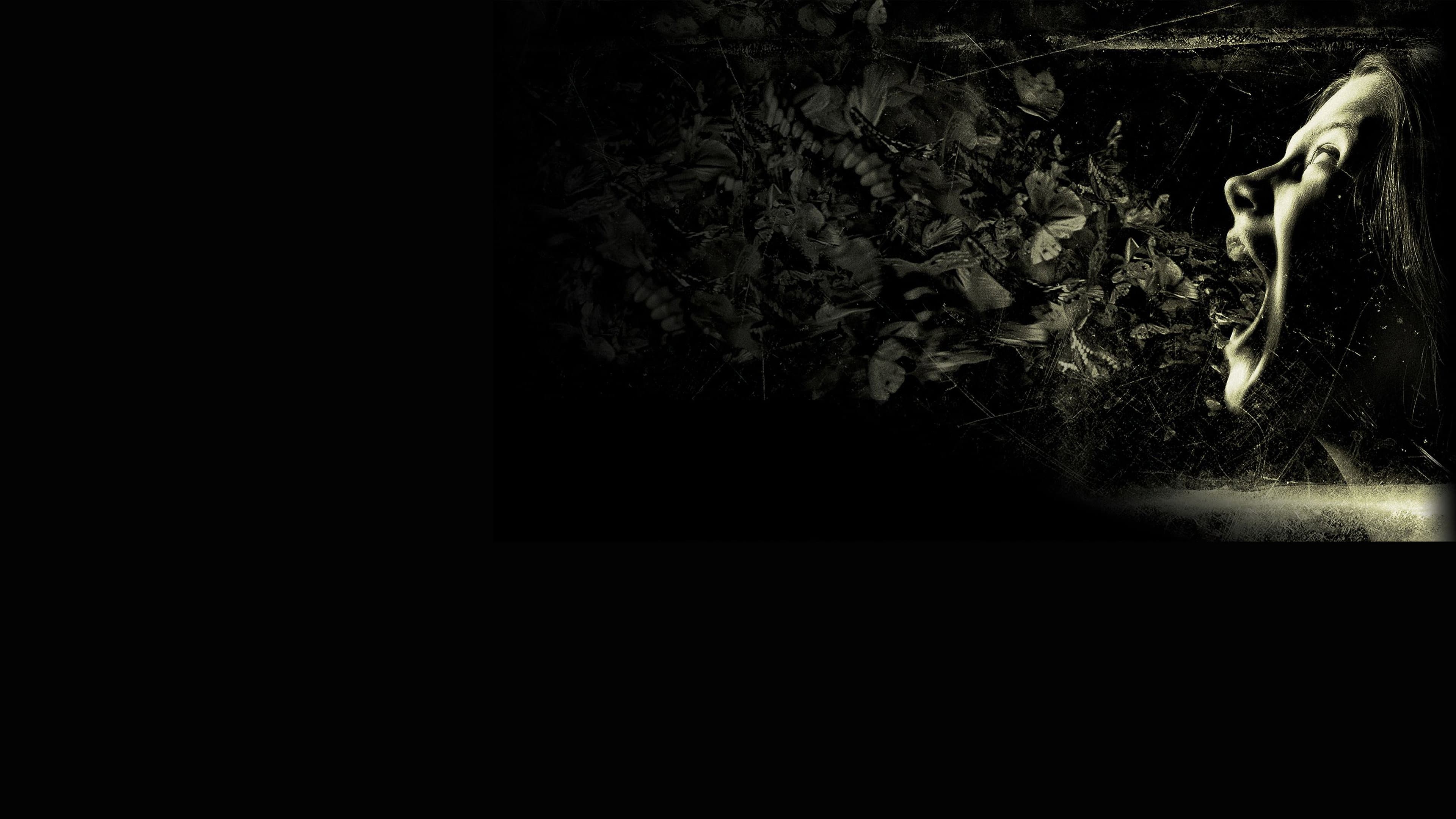 The Possession - immagine