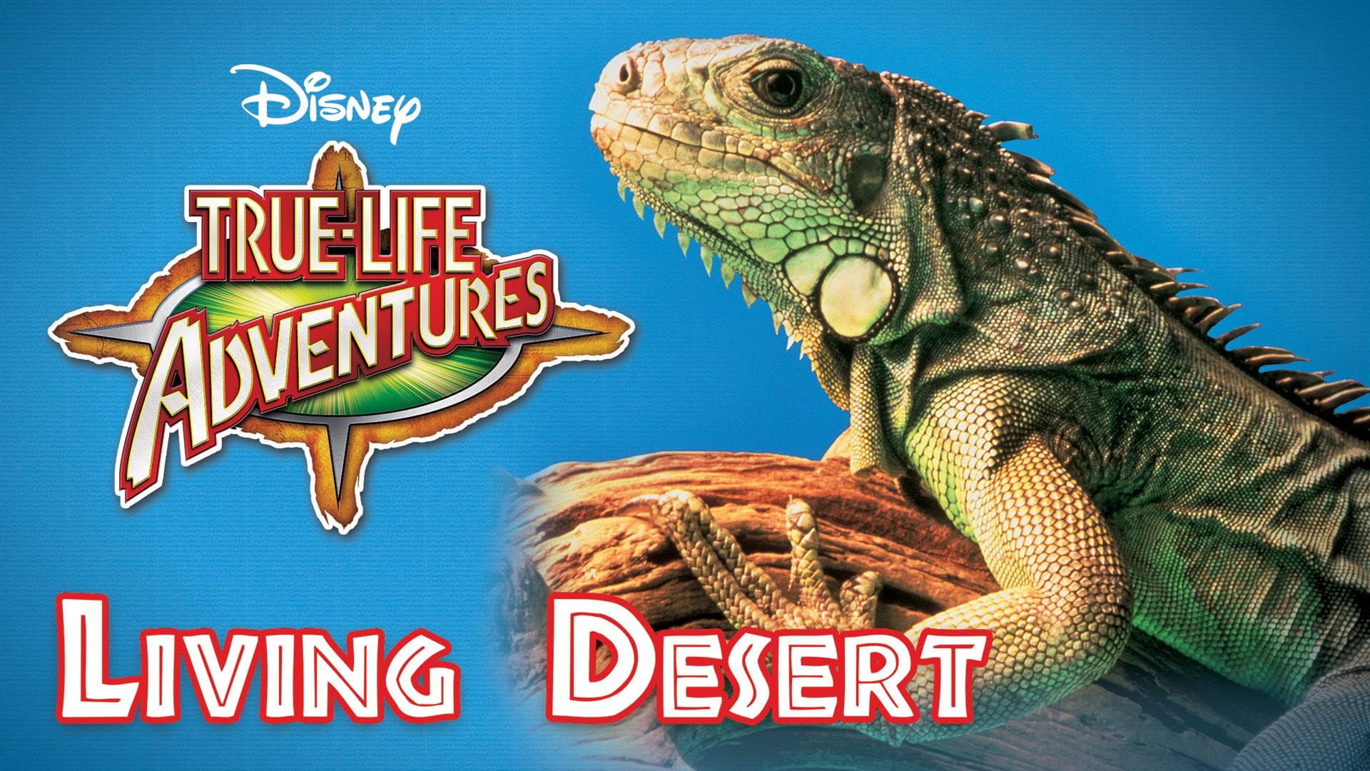 Deserto che vive - immagine