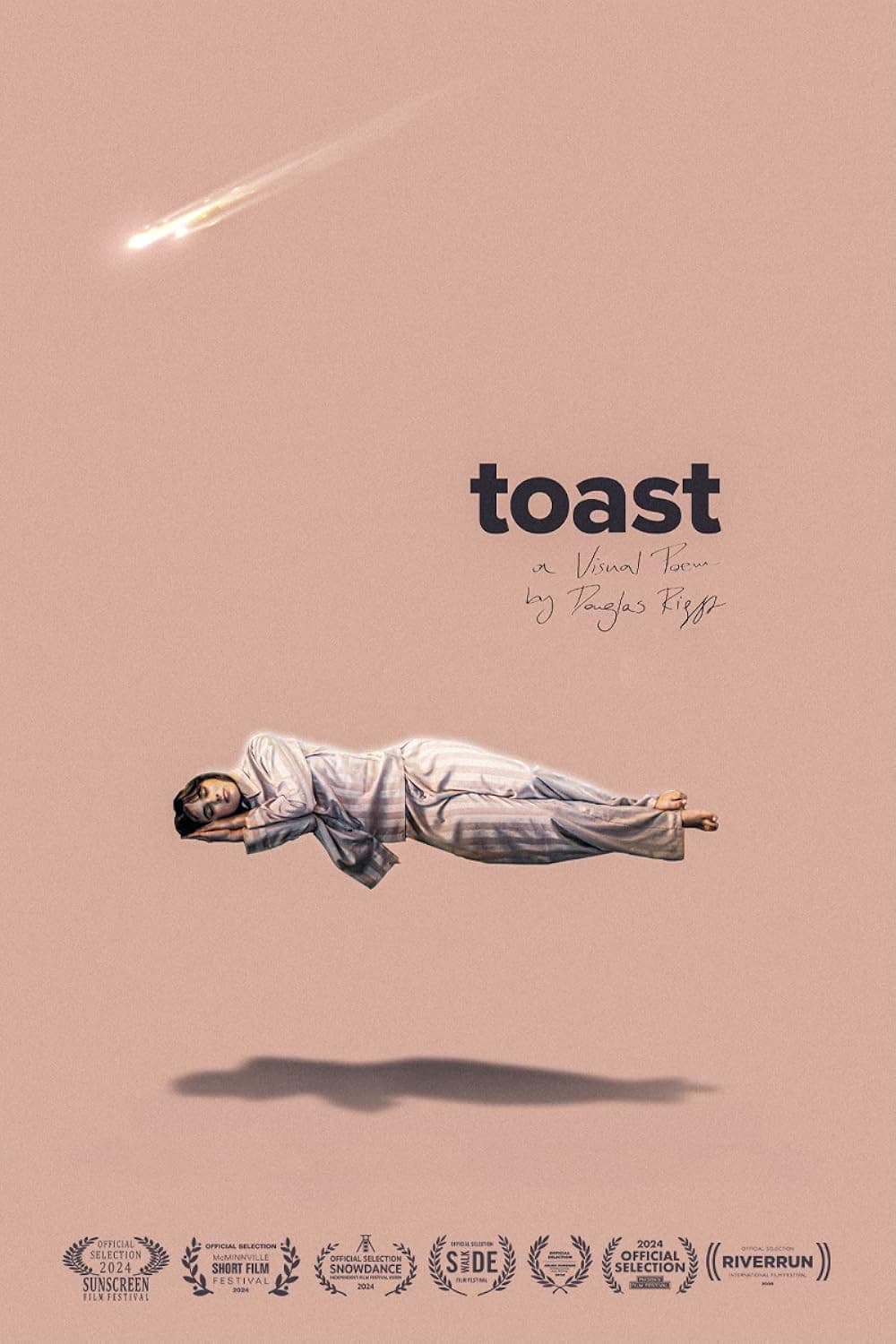 Poster di Toast