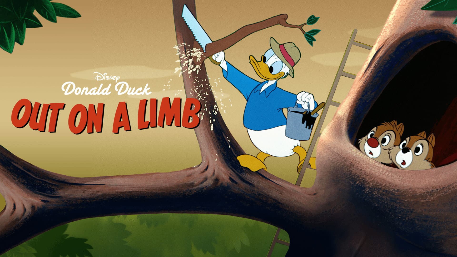 Lassù tra i rami - immagine