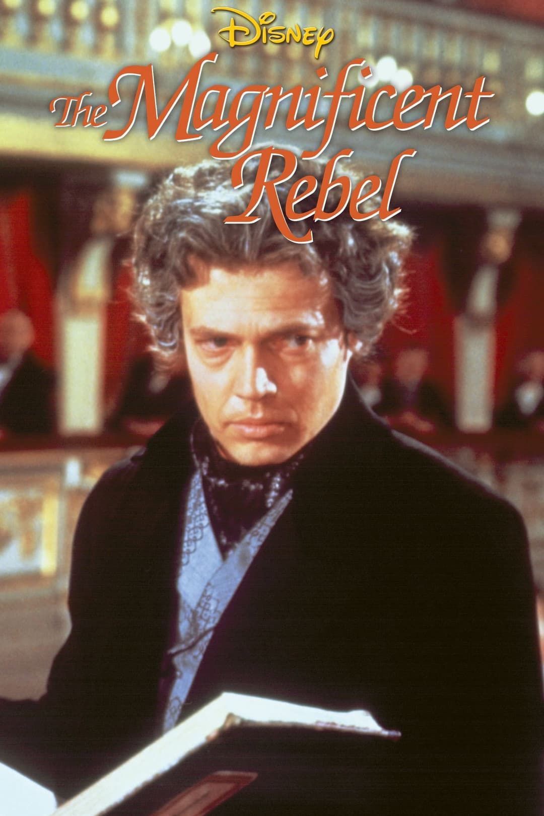 Poster di Il magnifico ribelle