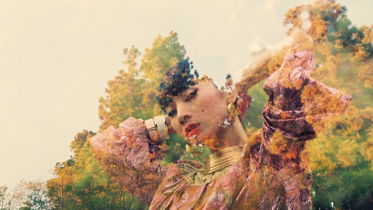 The Key - immagine