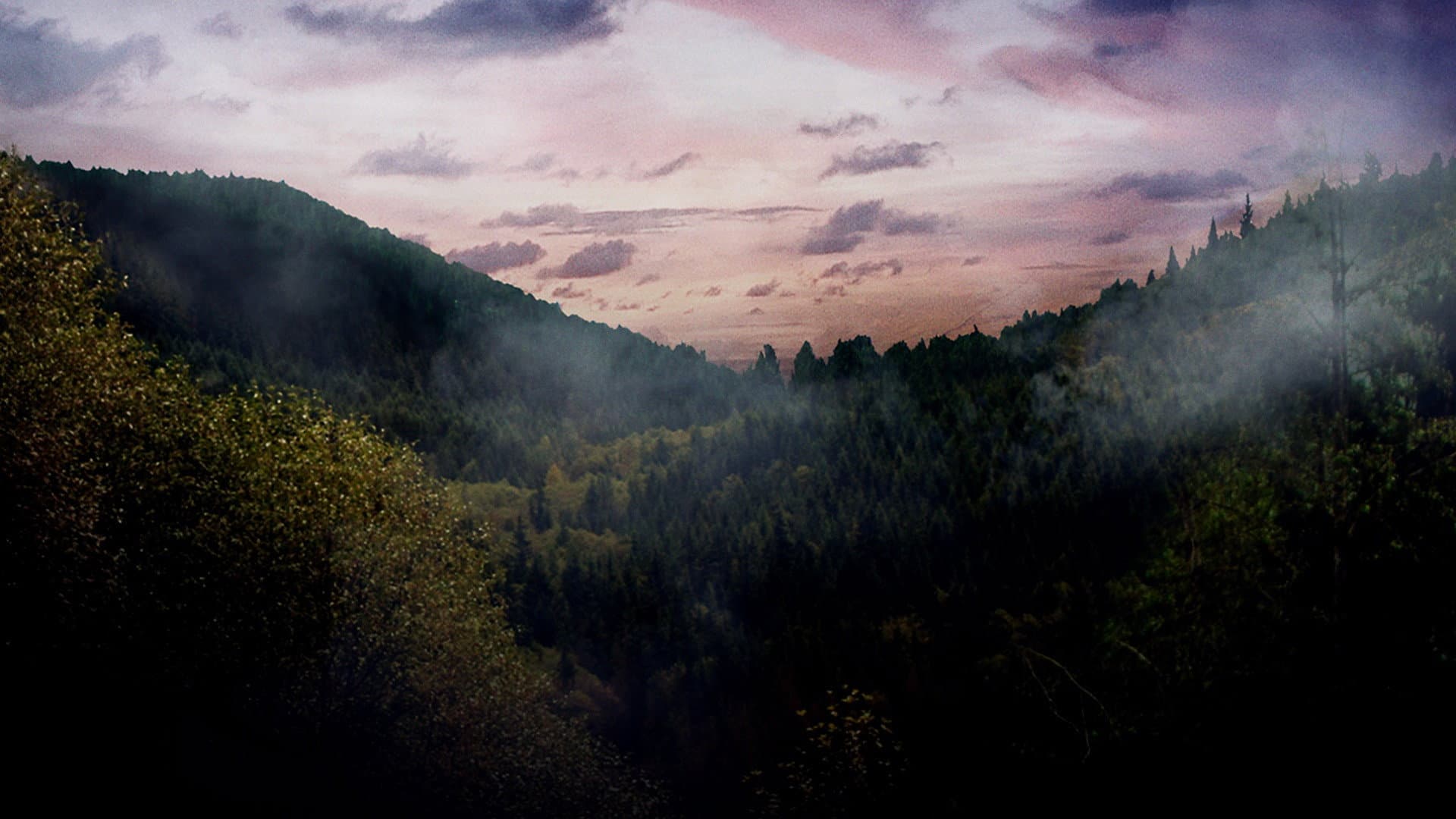 Neverwas. La favola che non c'è - immagine
