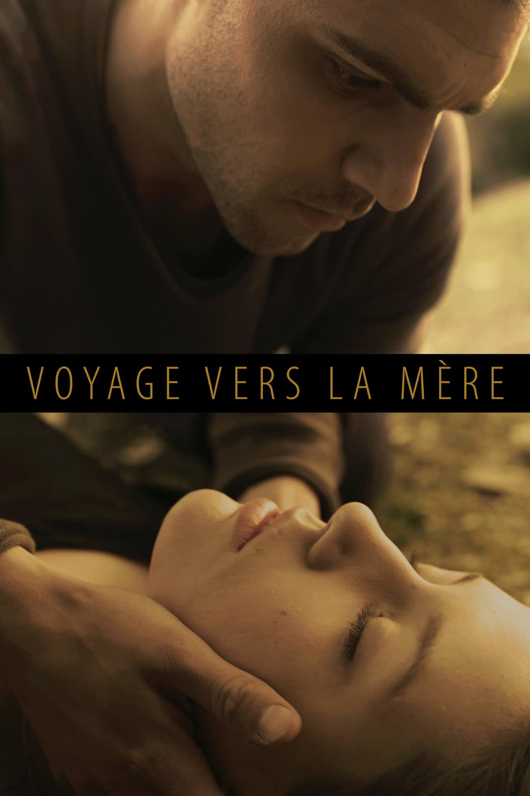 Poster di Voyage vers la mère