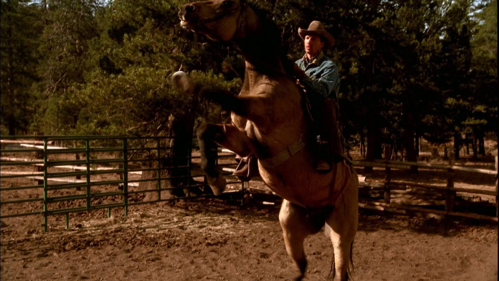 Dal profondo del cuore - immagine