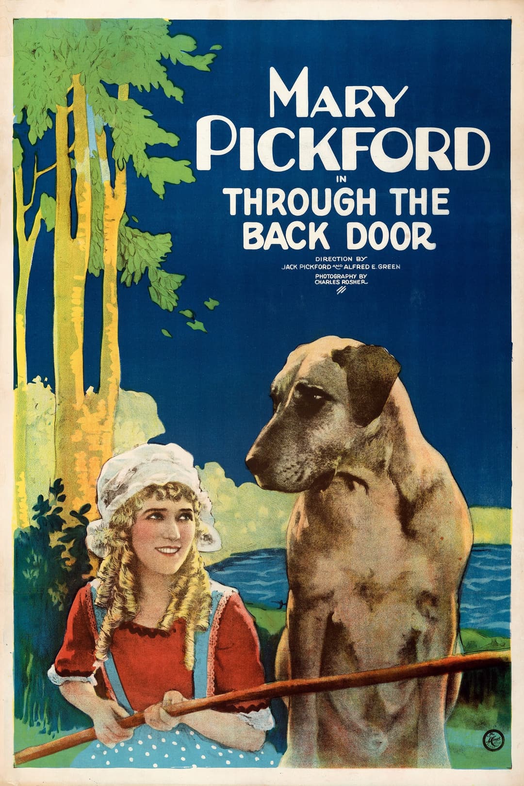 Poster di Through the Back Door