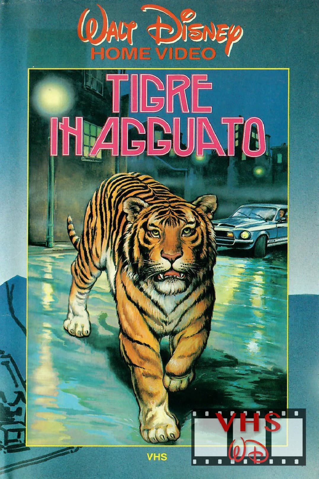 Poster di Tigre in agguato