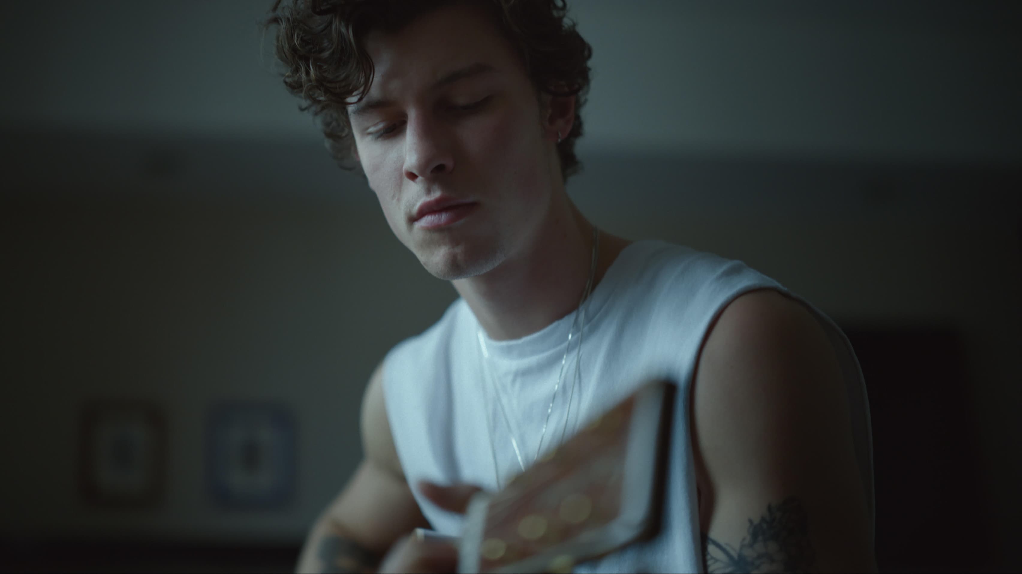 Shawn Mendes: In Wonder - immagine