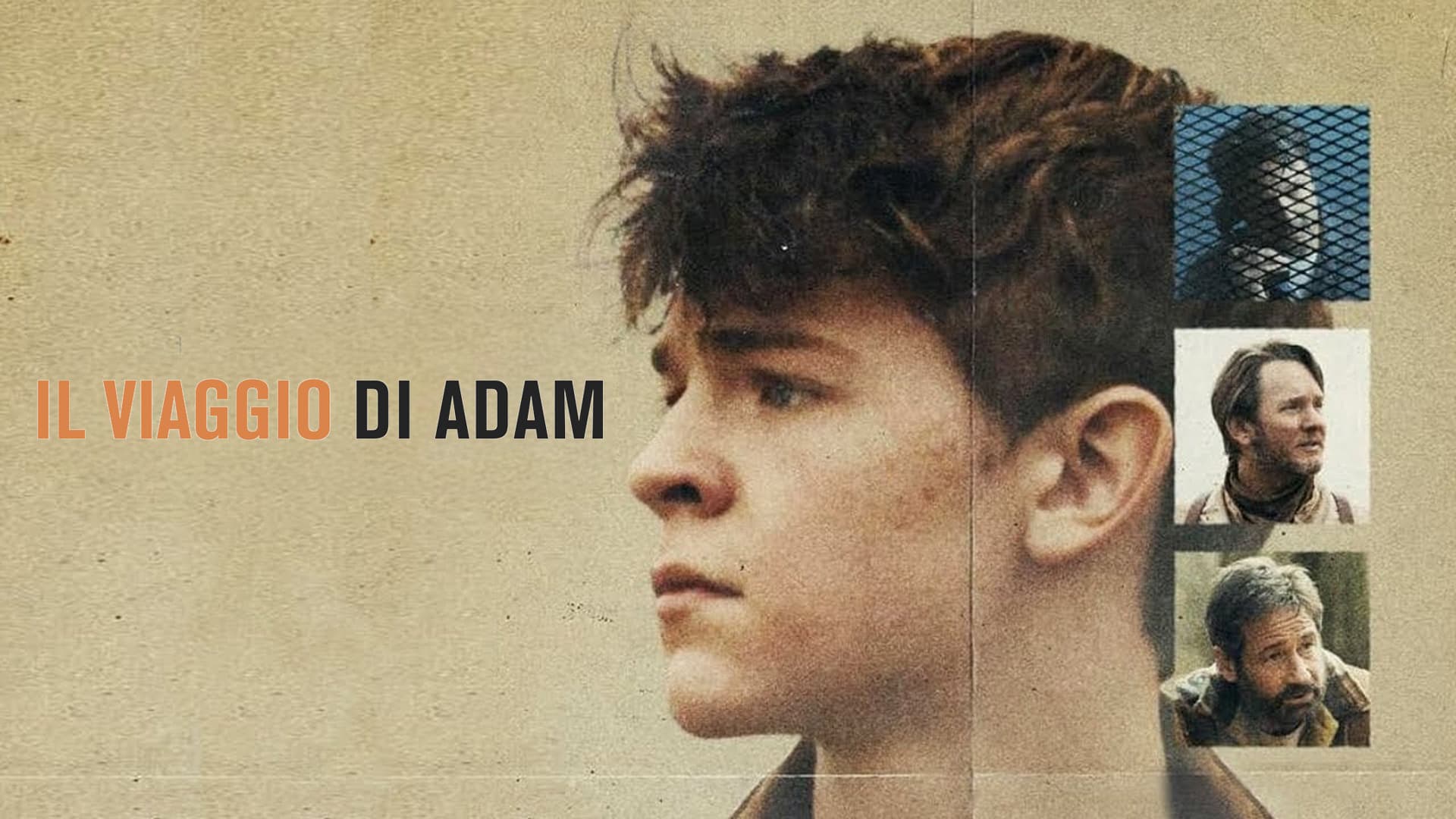 Il viaggio di Adam - immagine