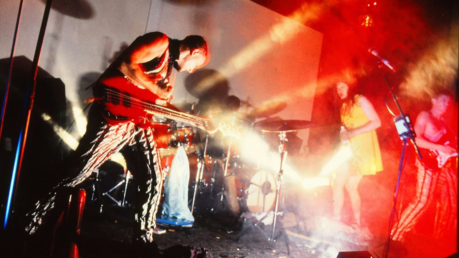 Butthole Surfers: The Hole Truth and Nothing Butt - immagine