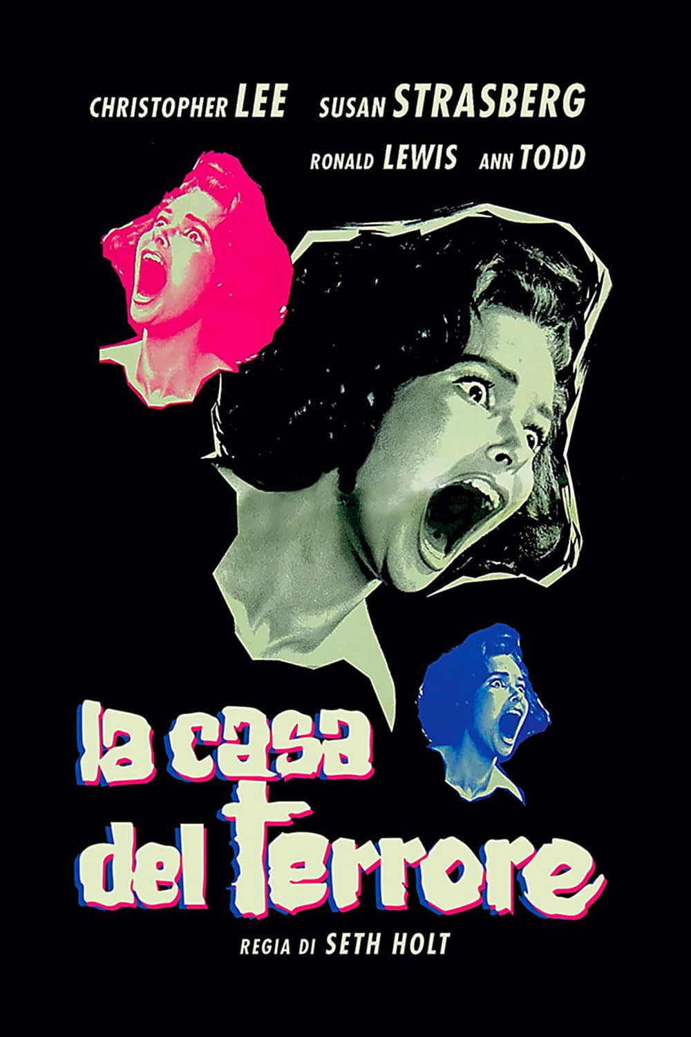 Poster di La casa del terrore
