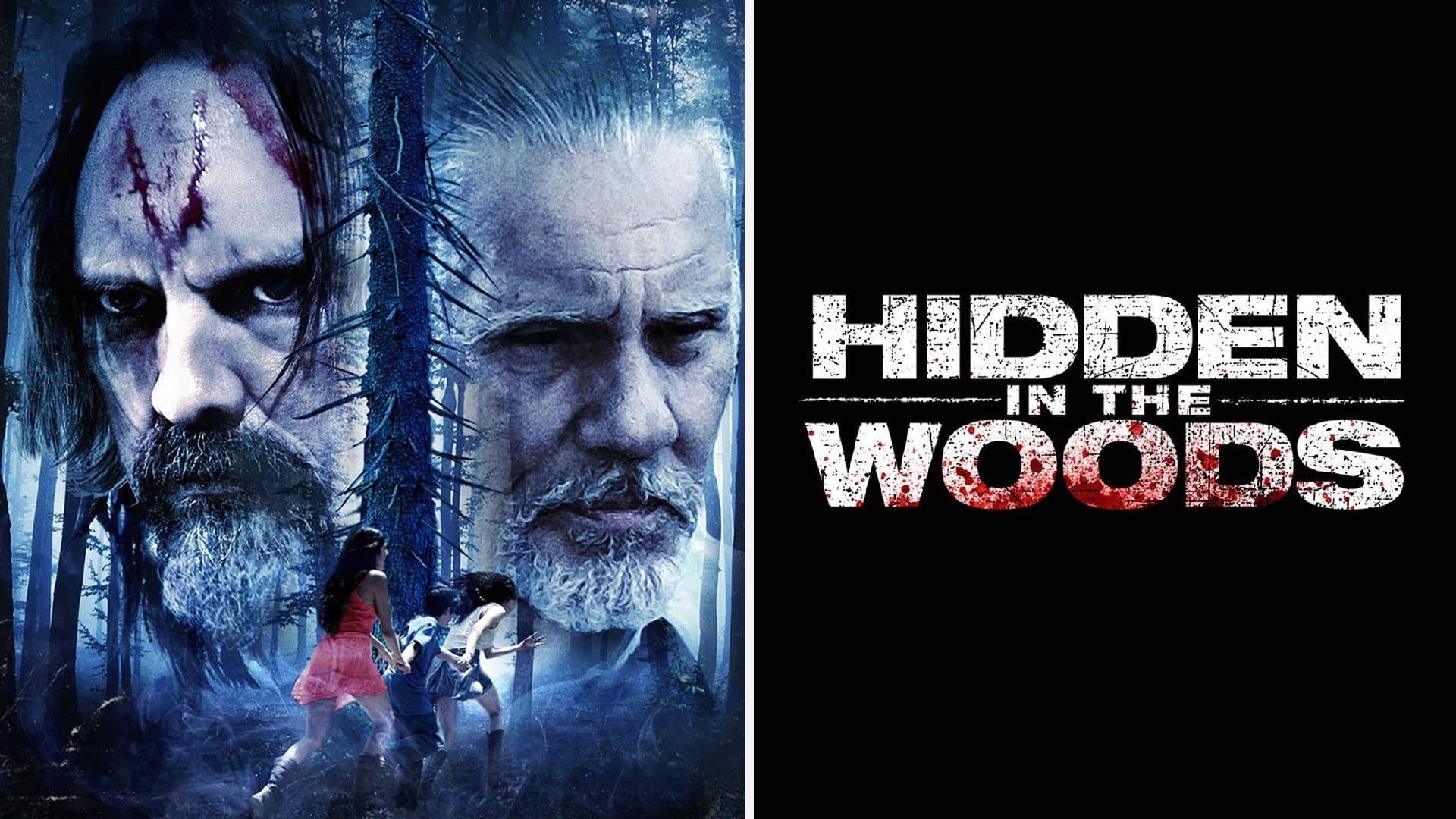 Hidden in the Woods - immagine