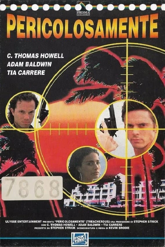 Poster di Pericolosamente