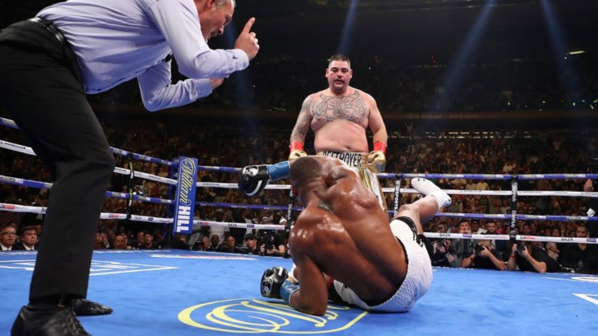 One Night: Joshua vs Ruiz - immagine