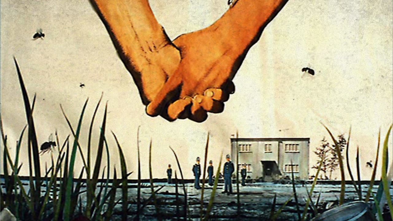 Il giardino di cemento - immagine