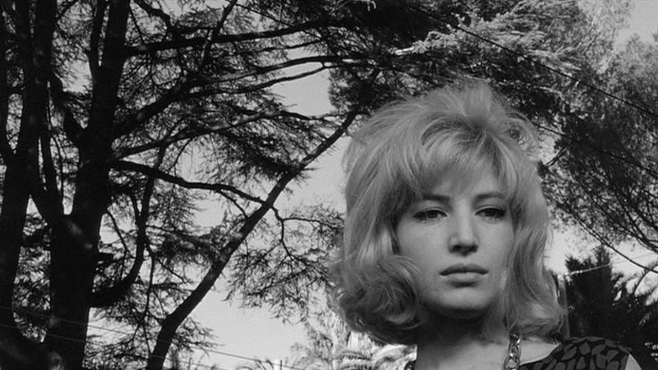 L'eclisse - immagine