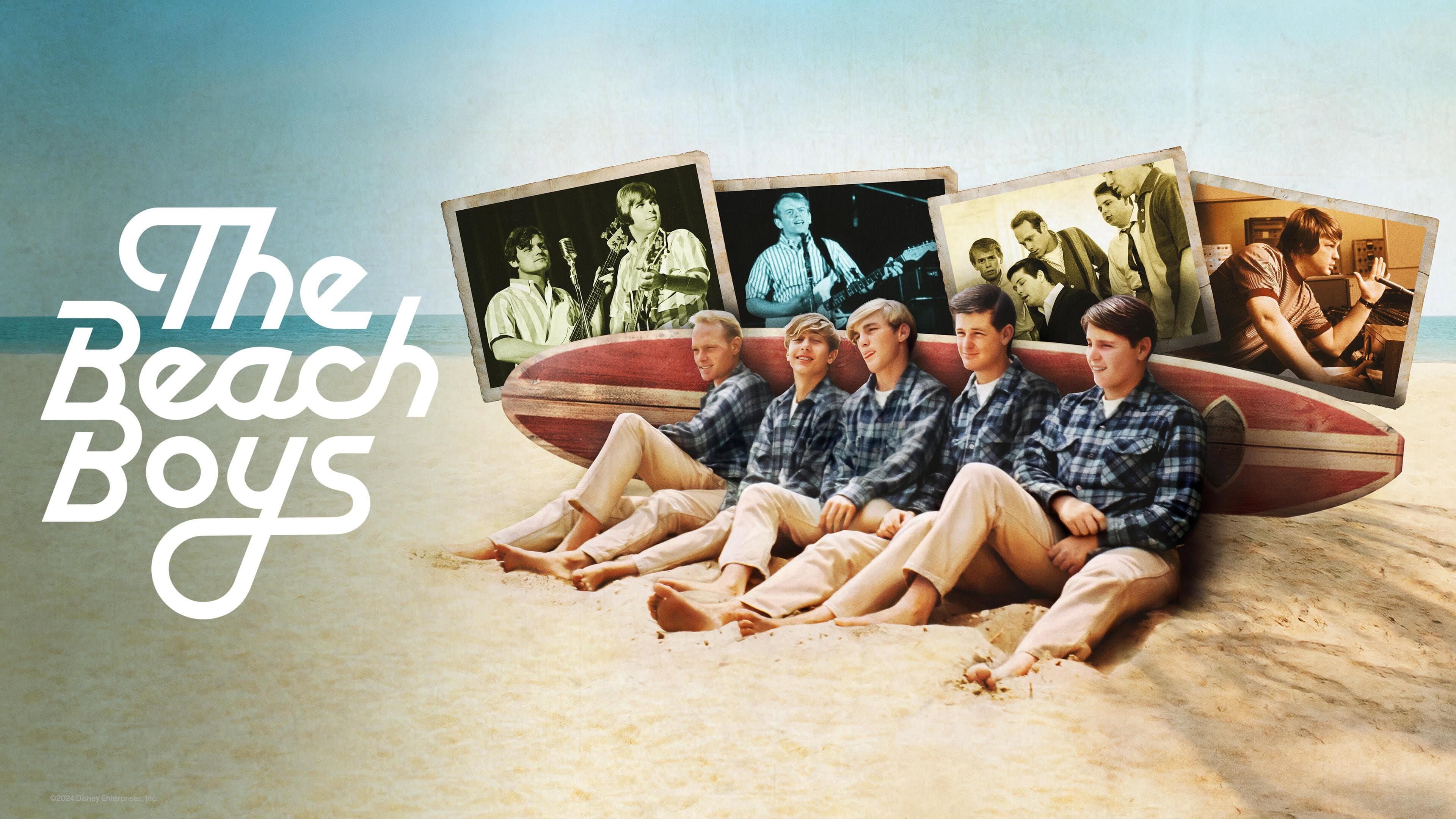 The Beach Boys - immagine