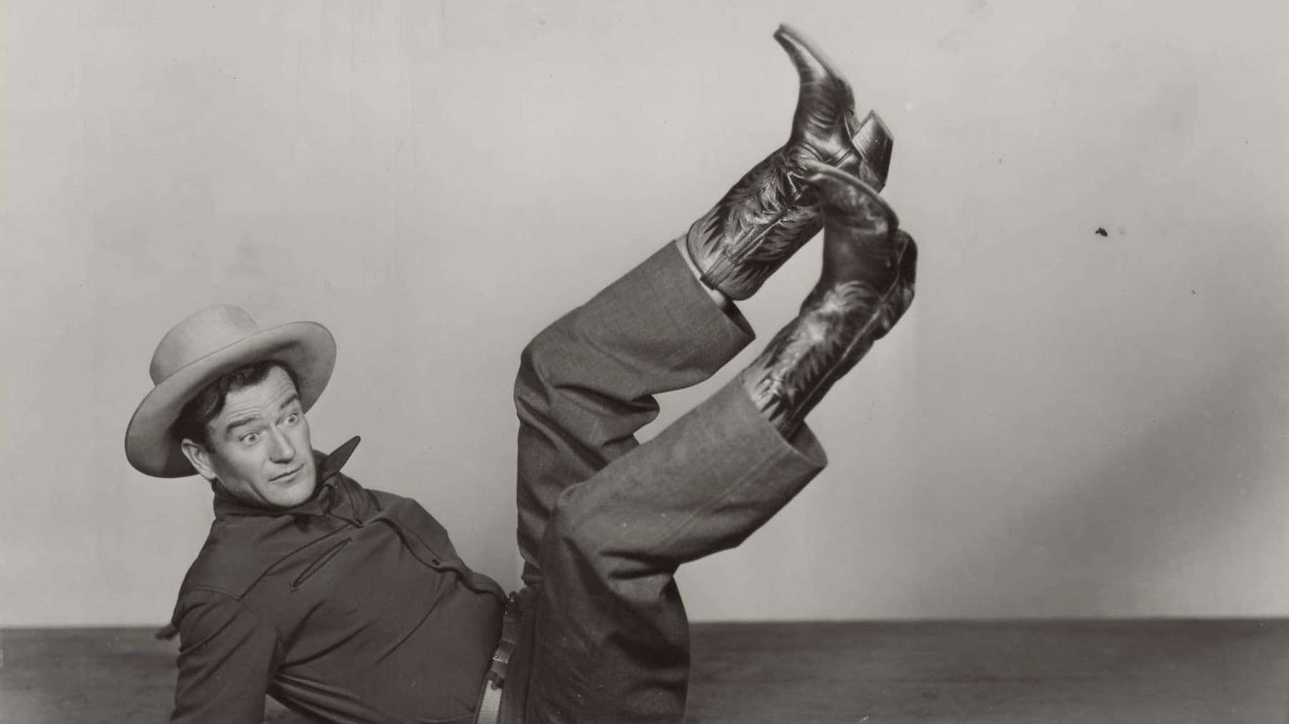 La signorina e il cow-boy - immagine