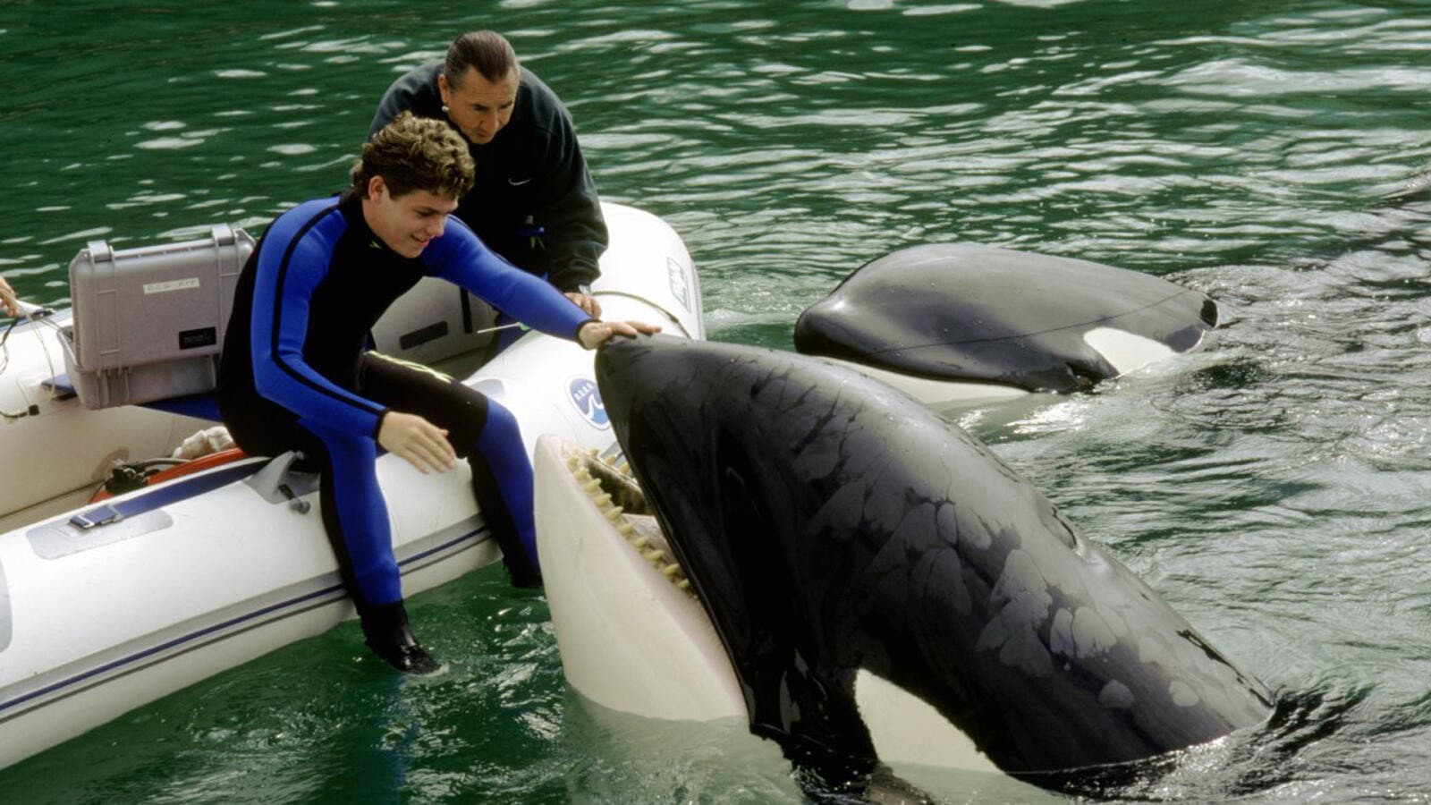 Free Willy 3 - Il salvataggio - immagine