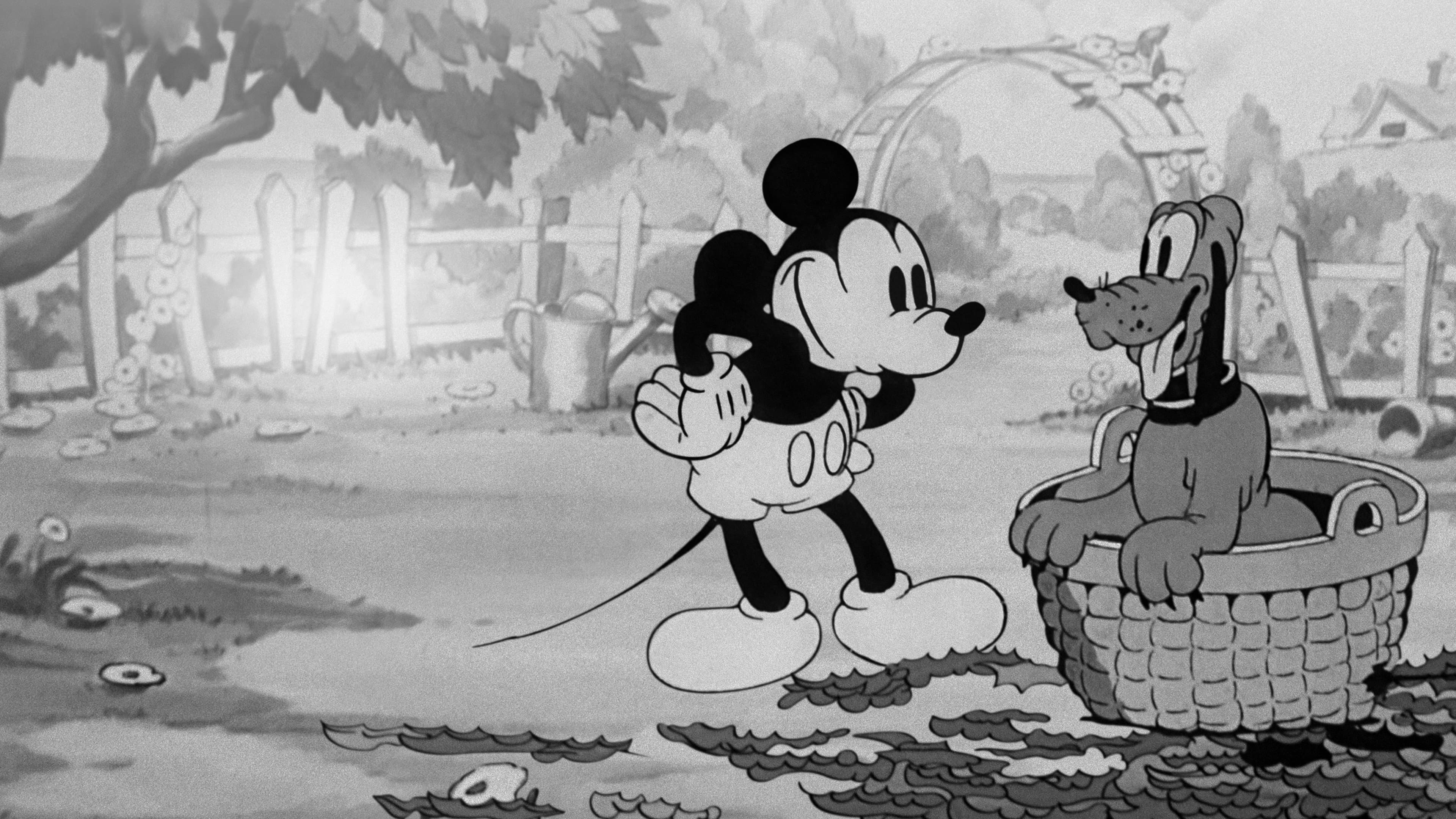 Pluto si diverte - immagine