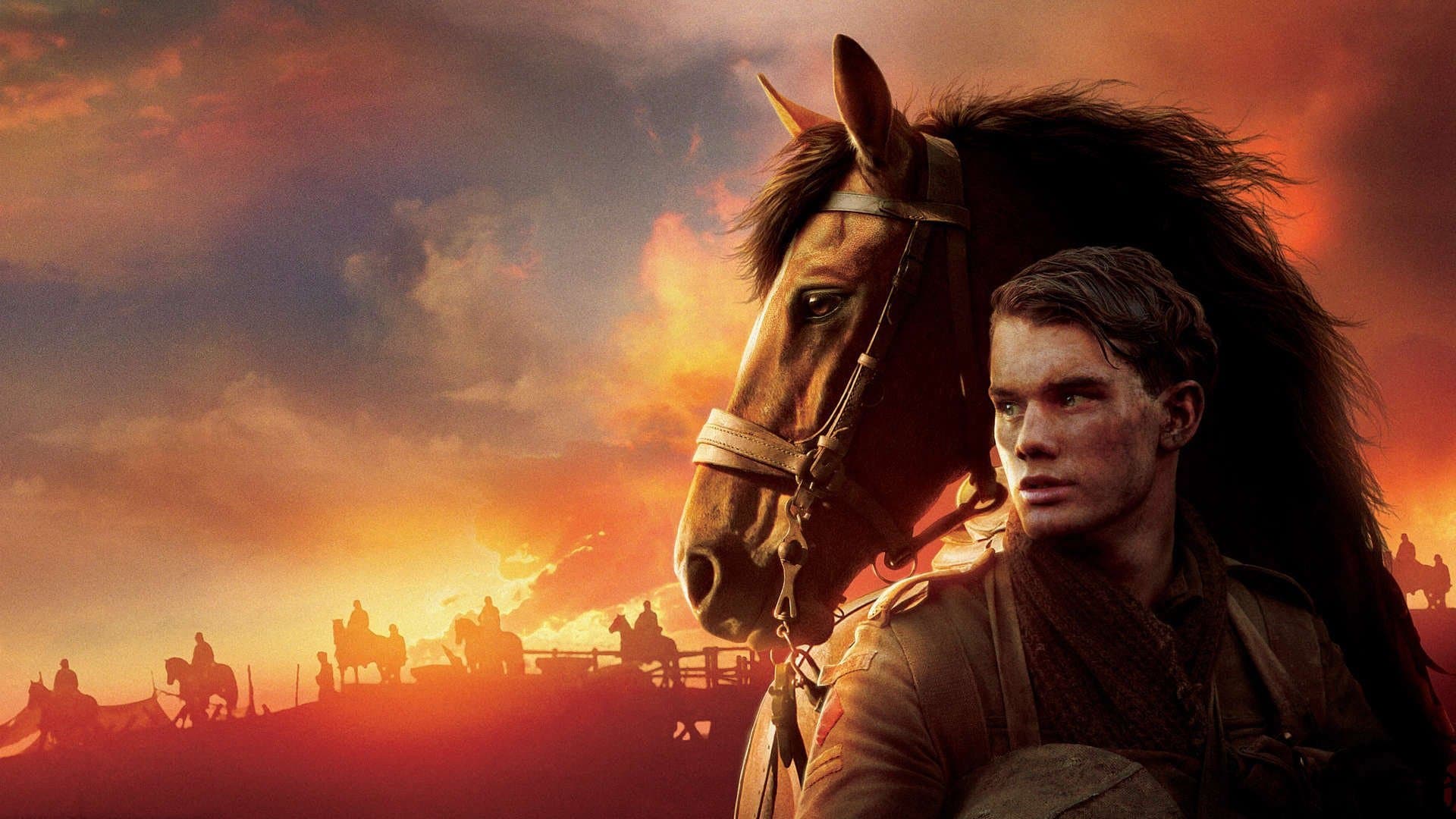 War Horse - immagine
