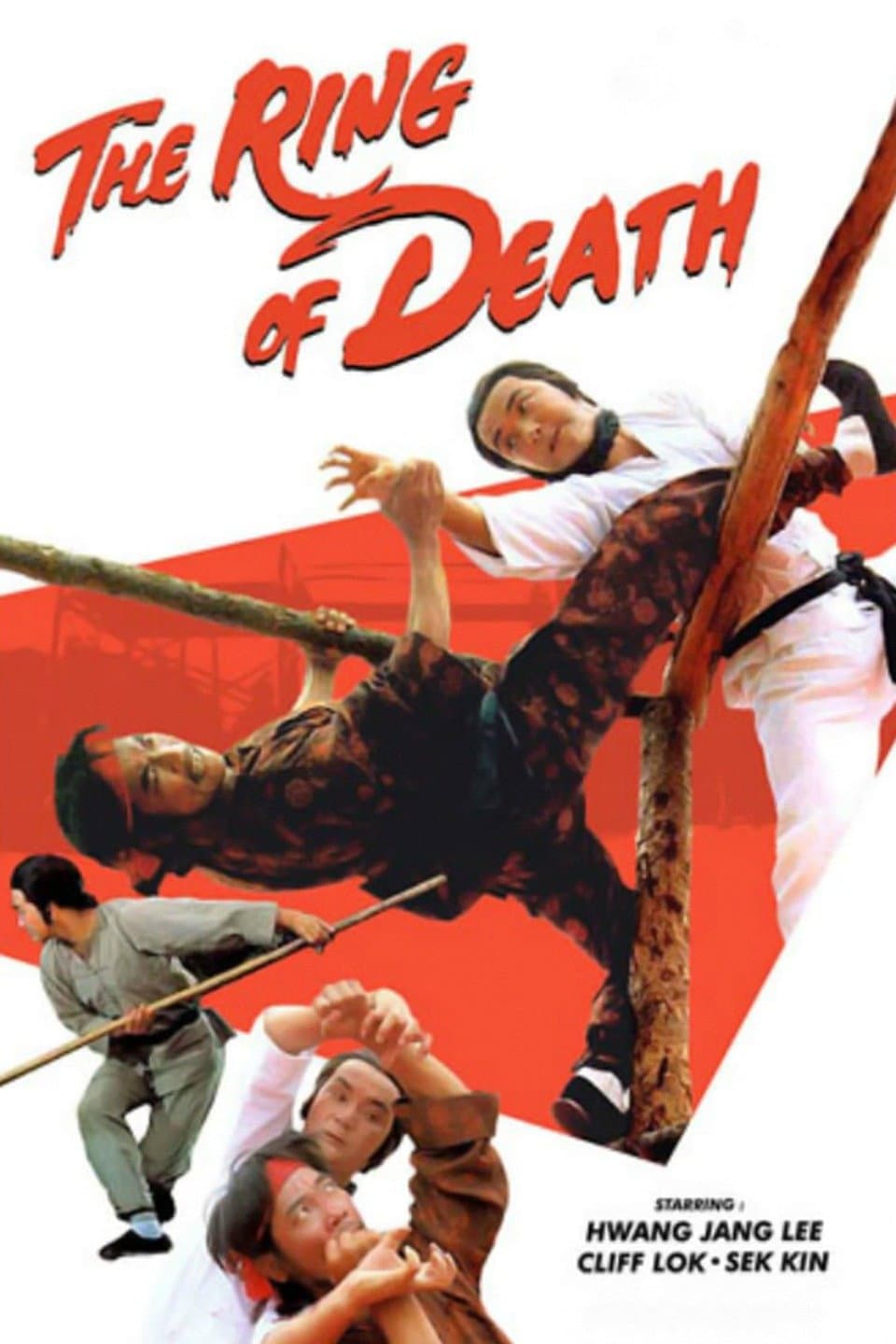 Poster di 龍形摩橋