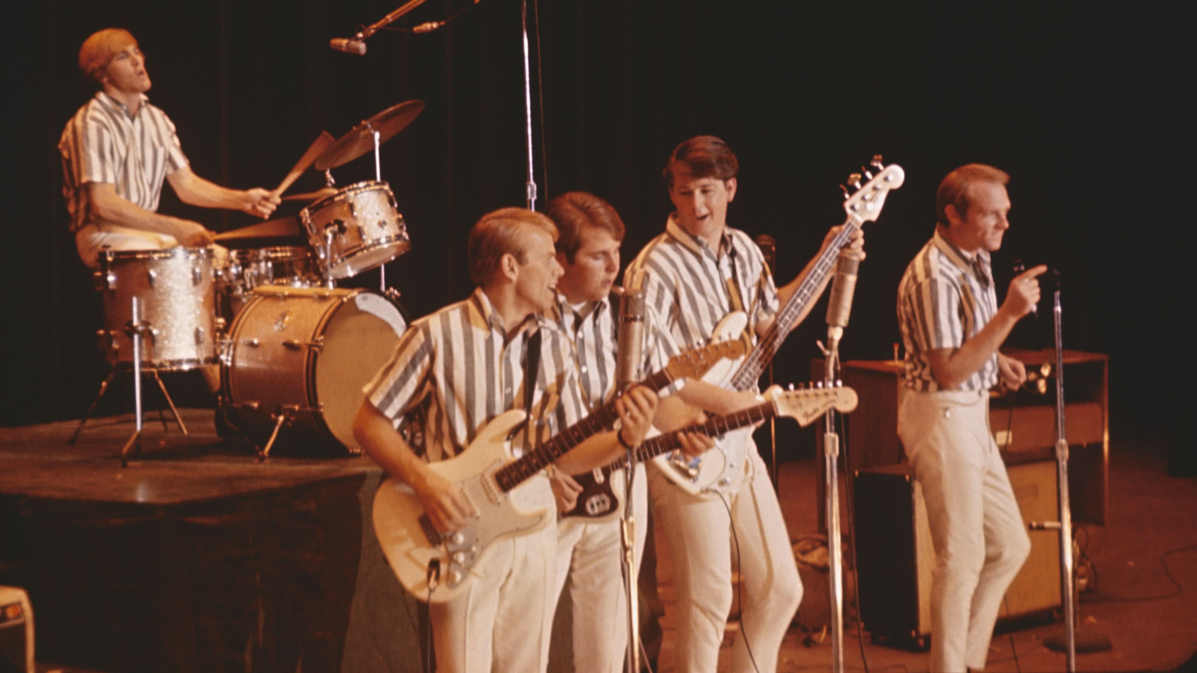 The Beach Boys - immagine