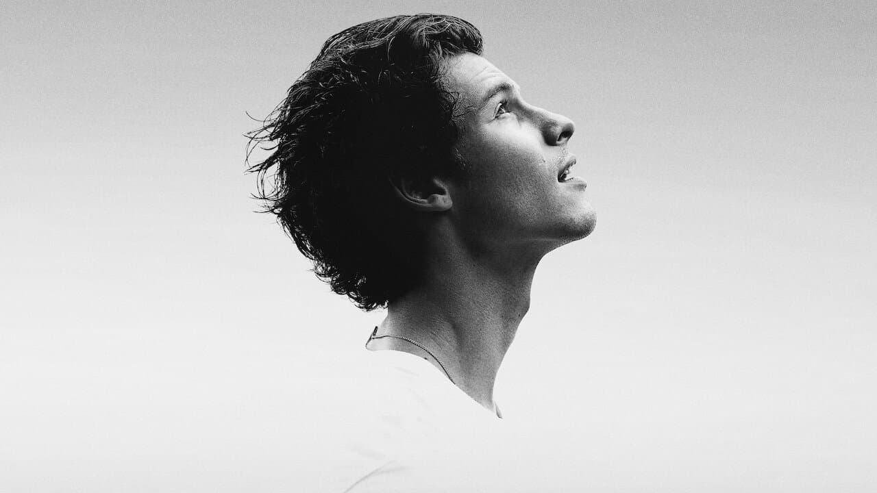 Shawn Mendes: In Wonder - immagine