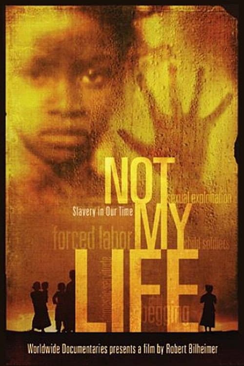 Poster di Not My Life